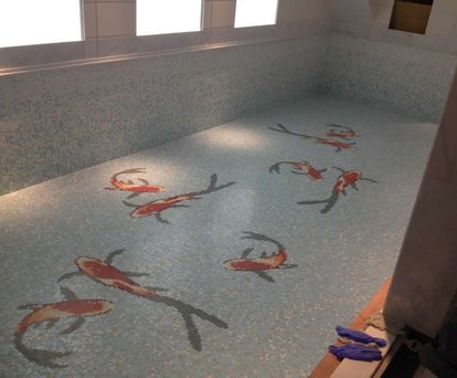 Pool & Gym Complex - London